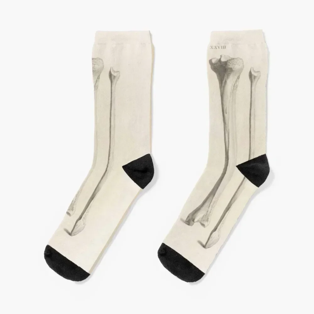 

Anatomical Bones Socks set heated Novelties Men's Women Socks Men's