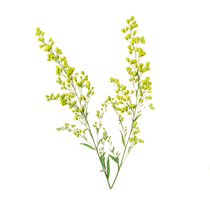 12Pcs,nature goldenrod pressed dry flower,DIY plant photo frame bookmark desk lamp drip glue phone case festival card decoration