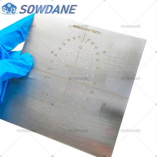 Perforadora de dique de goma de acero inoxidable Dental, tablero de agujeros, instrumento de dique de goma, herramienta de blanqueamiento Dental, 1 ud.