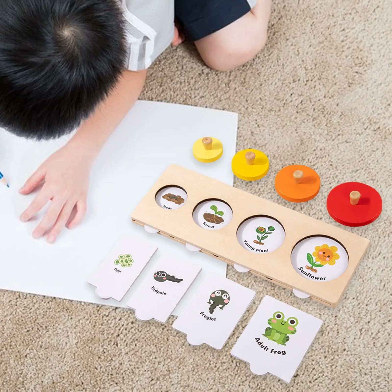 

Life Cycle Puzzle Matching Game Animal Growth Cycle Puzzle,Educational,Wood Montessori Toy,Jigsaw Puzzle for 3+ Year Old Kids