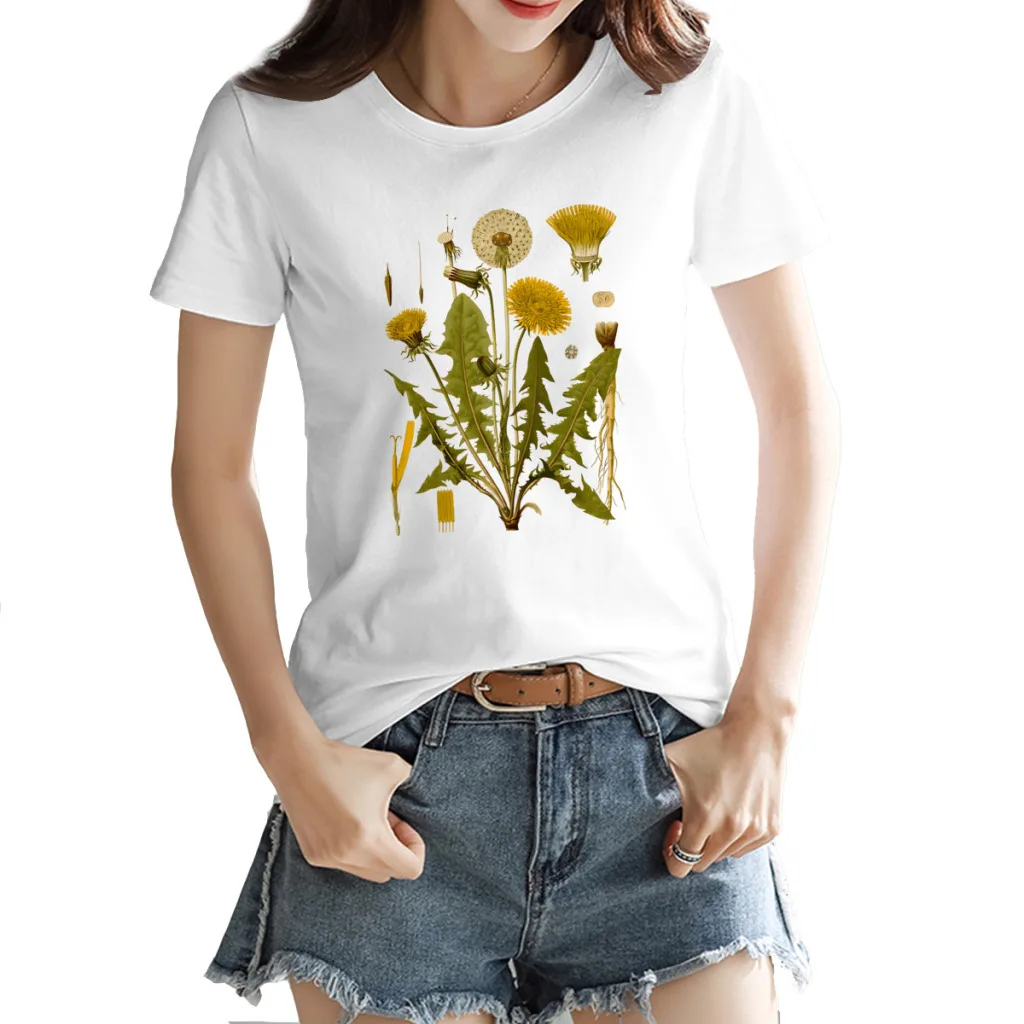 

Dandelion Women's Cotton Short Sleeve, Brand Loose Fit T-Shirt, Luxury Designer Top, Summer 2024 Mega Sale