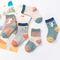 5pairs dinosaur7-10Y