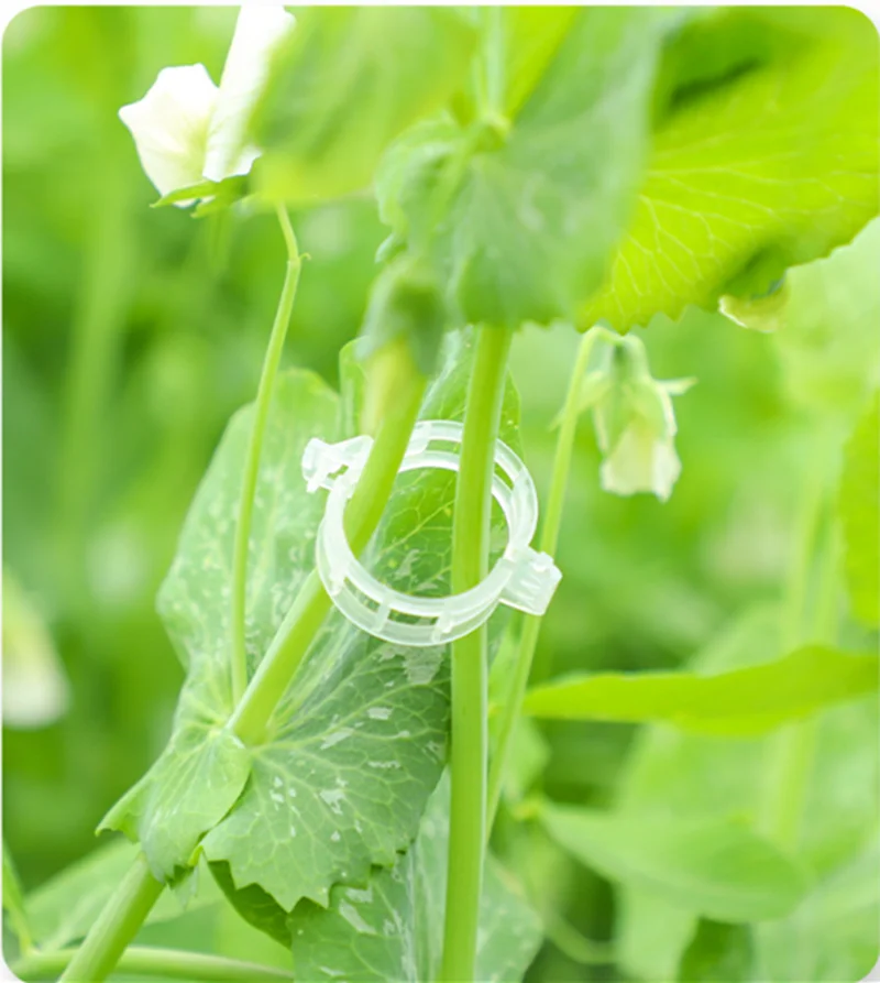 20pcs Clip Plant Clip Grape Tree Plastic Bracket Connection And Binding Clip Garden Tomato Hook Bracket Support Tool