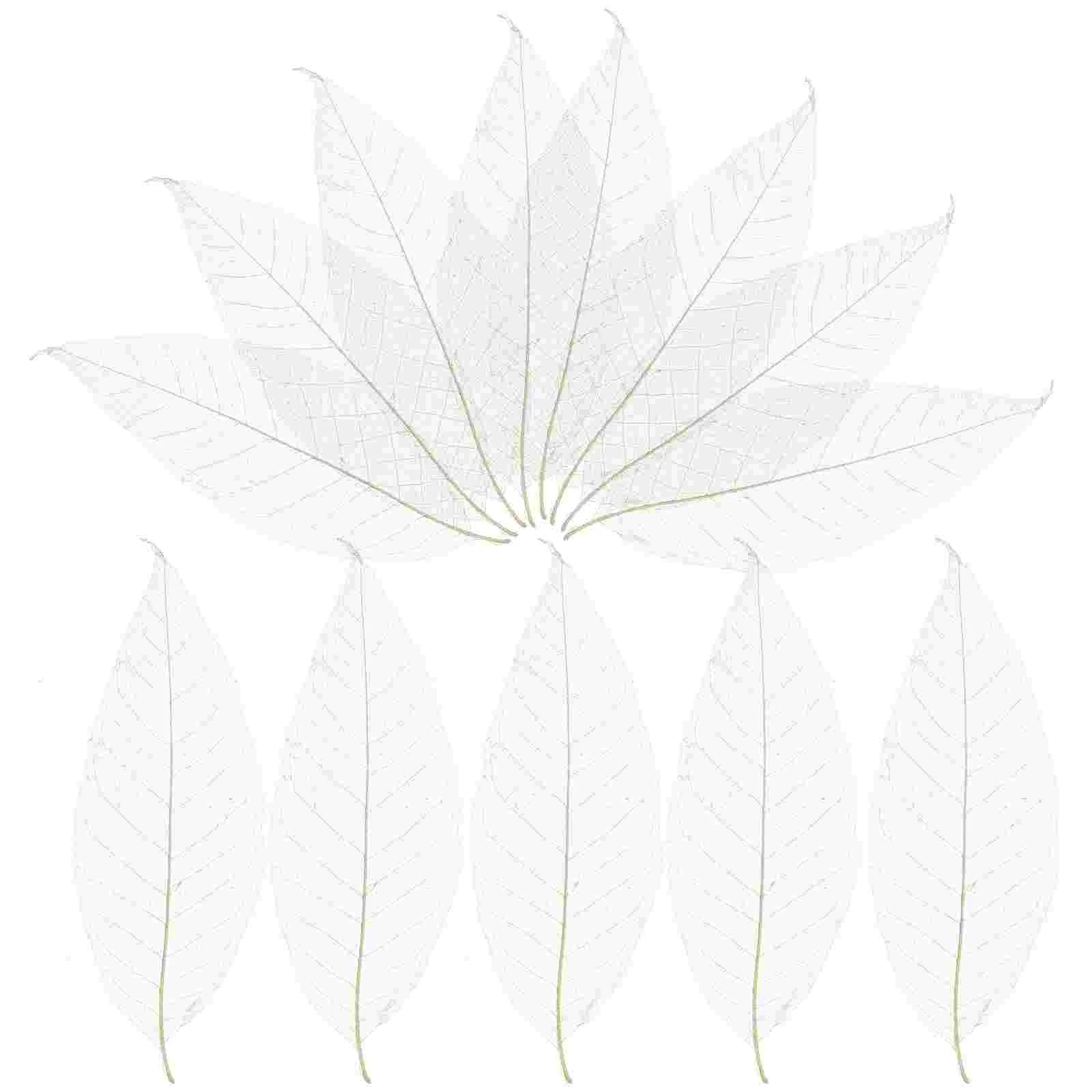 100 Pcs Magnolia Leaves Leaf Specimen Bathroom Decorations Tree for Craft Project