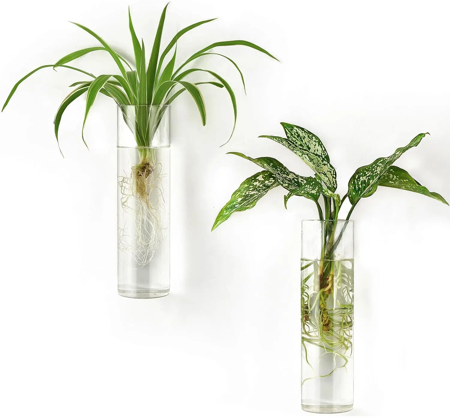

Wall Mounted Glass Propagation Tubes for Hydroponics Plants, Bathroom Home Office Decor, Cylinder Set of 2