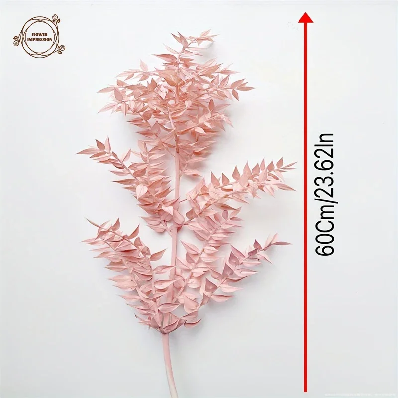 40g Natural Ruscus Dried Flower Bouquet Color Leaves Branches Table Decor Flower Arrangement Wedding Decoration Artificial Plant