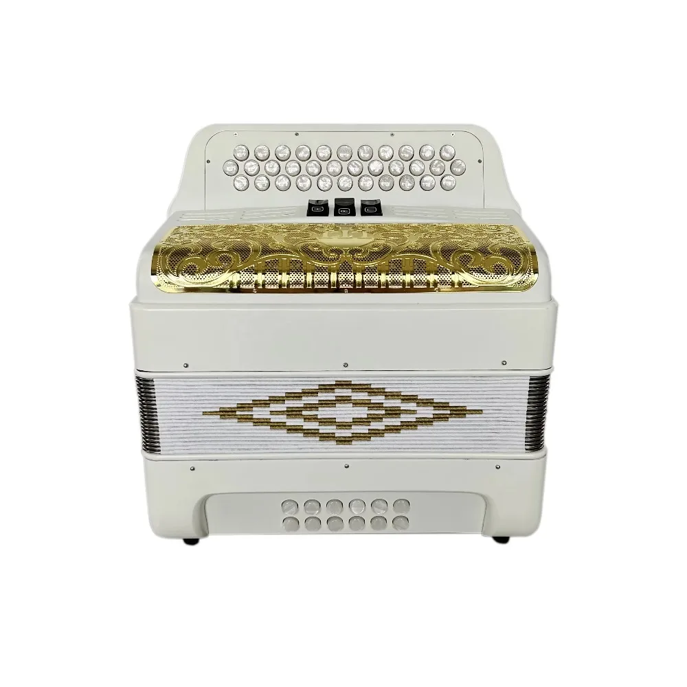 

SEASOUND Professional OEM 34-Button 12-Bass 3-Register Accordion Instrument Acordeon JB3412C with Matt White Gold Grill Buttons