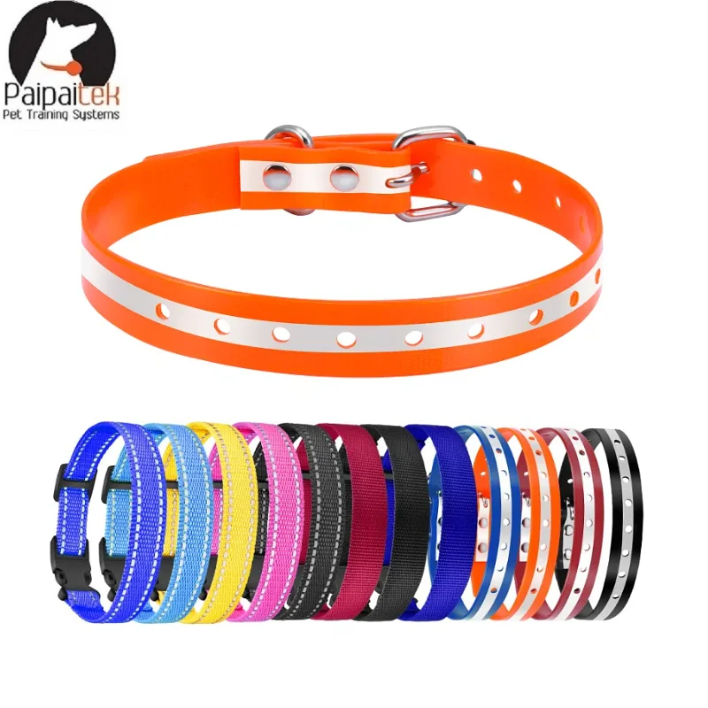 Dog TPU Collar Personalized Pet Collar Dog Nylon Collar Pet Cat Collars for Small Medium Large Dogs Fashion Necklace