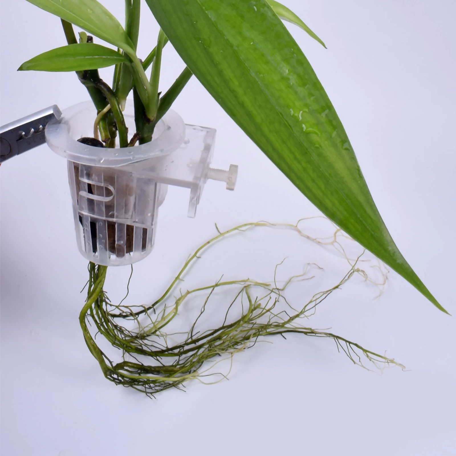 

2pcs Aquarium Plant Pots Flower Pot Planter Fish Tank Decor Hanging Acrylic Baskets Aquatic Plants Holder Clear Professional