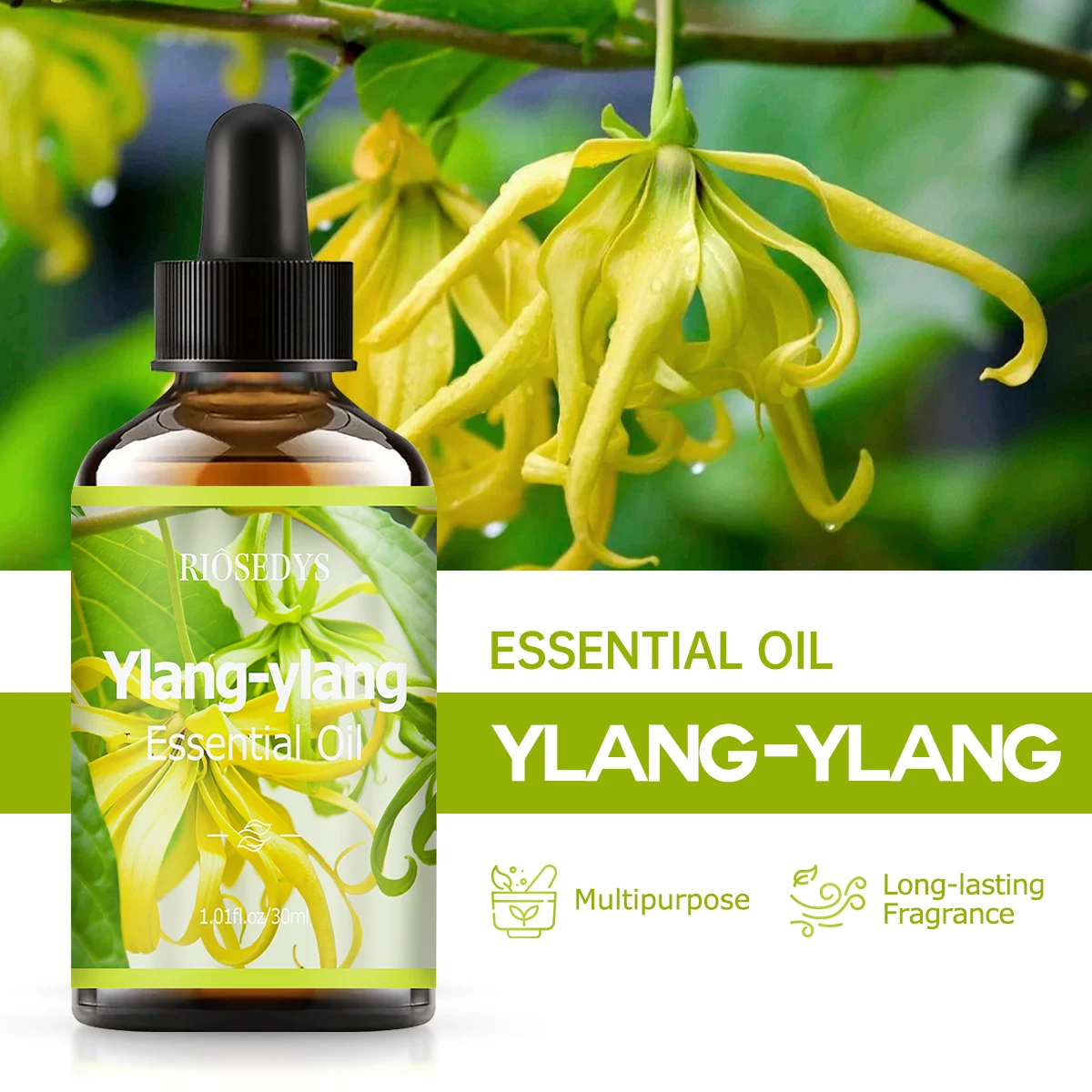 YLANG YLANG essential oil natural fragrance, is suitable for body massage treatments ,hair care anddiffuser