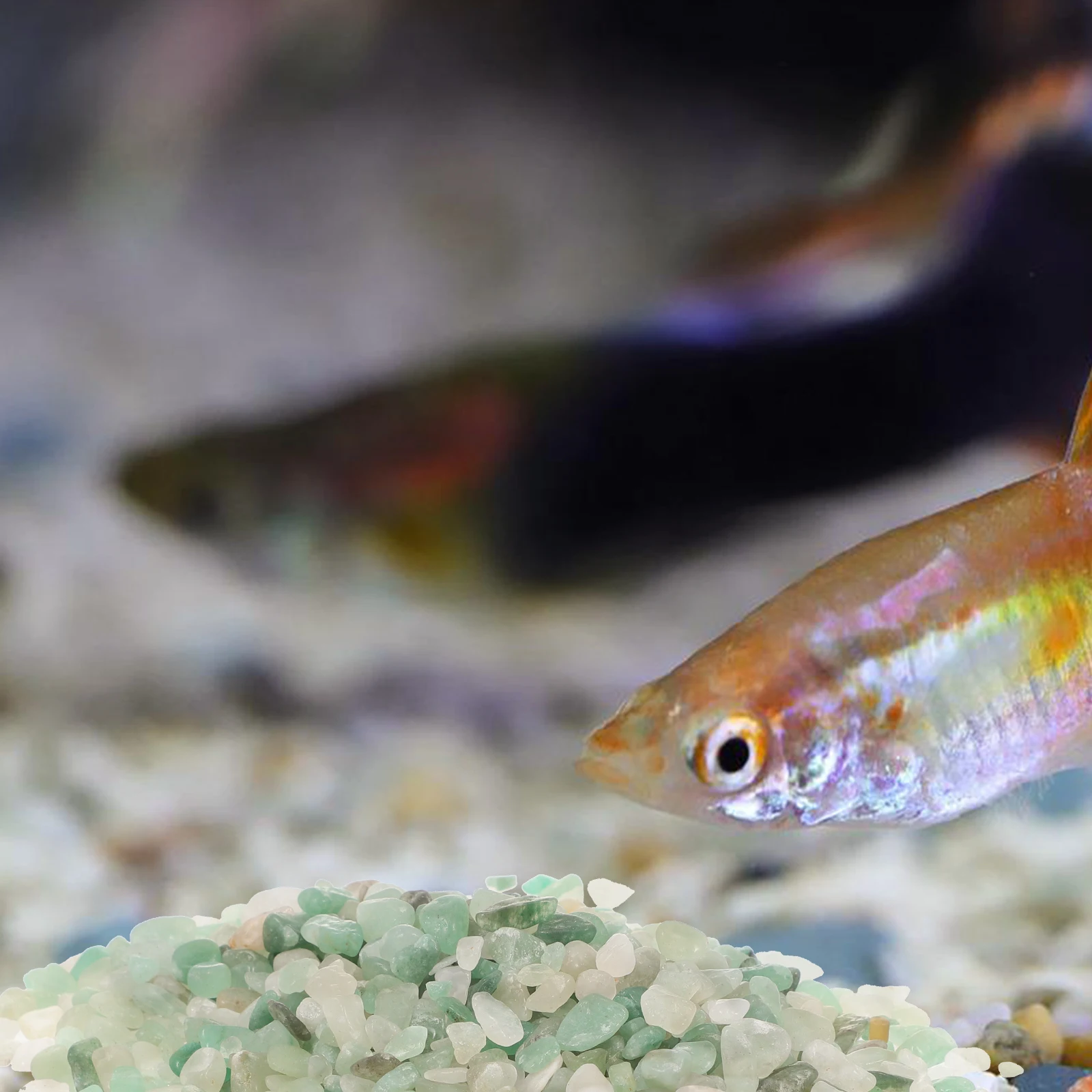 

Stones Layout Decor 6 Packs Aquarium Fish Tank Natural Pebble Decor Garden Stone Purifying Pebbles