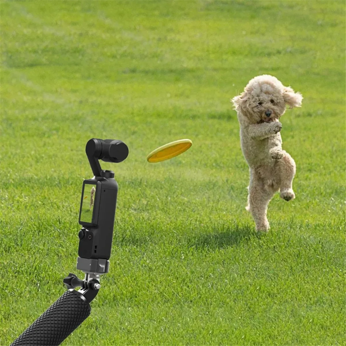 【Livraison Rapide】Ladestation