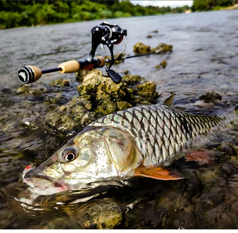 PURELURE CREEK DANCE Forellenrute BFS Fishing Casting UL Spinning Light Travel Rod Stream Ejection Rod Fuji Alconite Ring Barsch – Detail 10