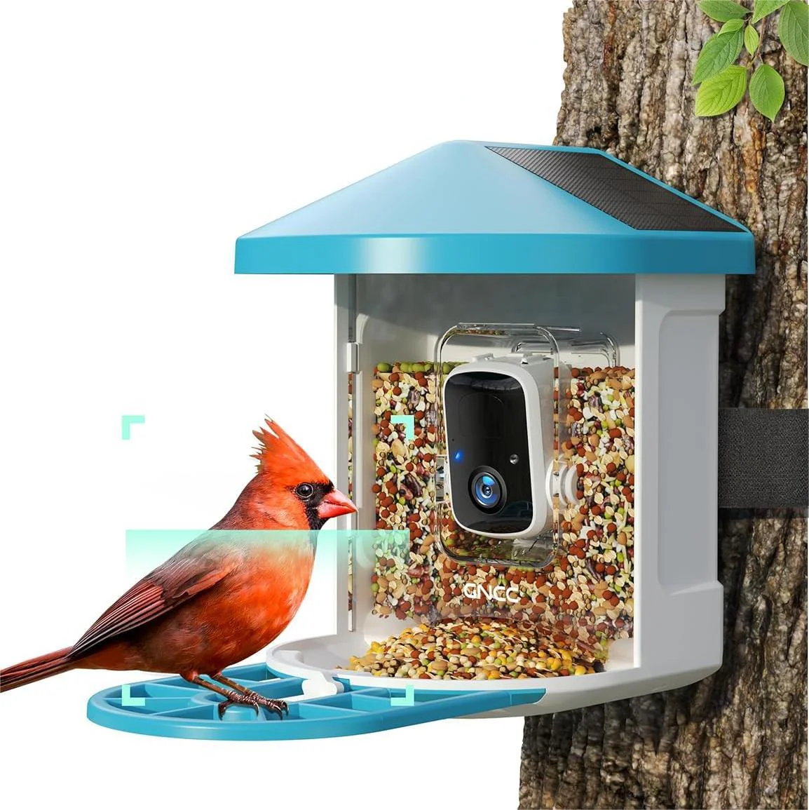 GNCC Smart Bird Feeder with Camera Wireless Outdoor, 1080P Wild Bird Feeders, Squirrel Proof, Solar Powered, AI Identify