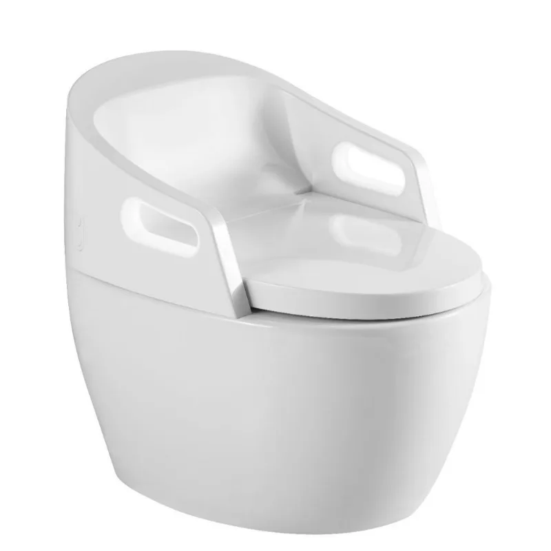 

Smart Toilet Household Integrated Instant Smart Toilet, Siphon Smart Toilet