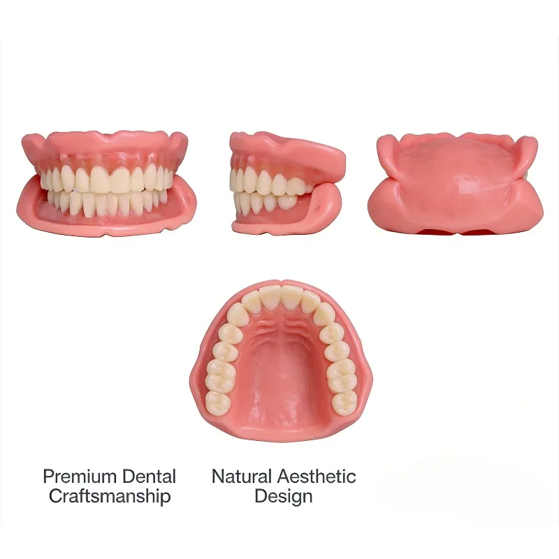

Unisex Daily Realistic Upper and Lower Teeth Cover Set with Lifelike Pink Gum Snug & Firm Fit Reusable and Easy to Clean Perfect for Daily Life Party Natural Confident Smile