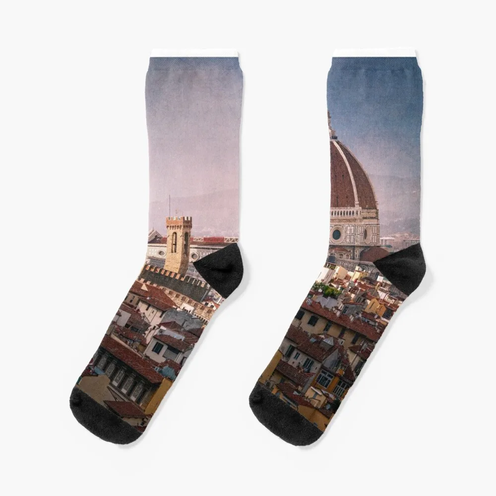 Historic Core of Florence Italy Socks