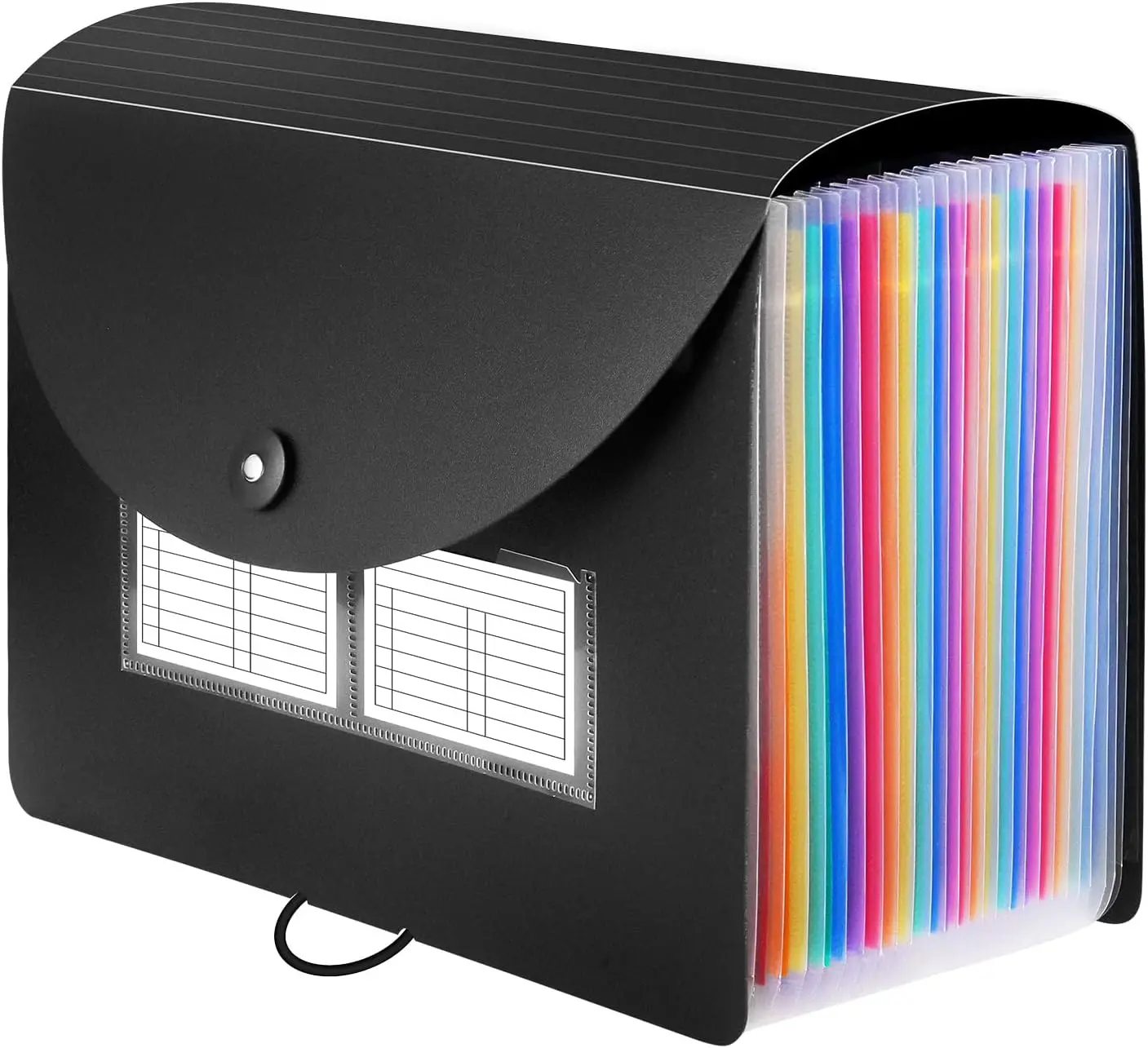 

Папка-органайзер на 24 кармана с этикетками, расширяемая, для хранения бумаги формата А4/Letter, черная