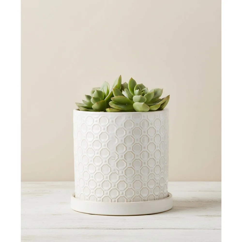 

8-дюймовый керамический горшок с дренажным отверстием и блюдцем, современный белый цветочный горшок для комнатных и уличных растений