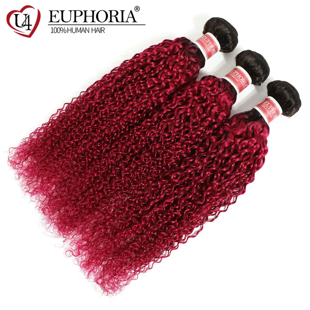 Ombre 27 Kinky Curly Hair Bundles Brazilian Human Hair 1/3 Pcs 1B Brwon Red Burg Remy Curly Hair Weaving Bundles EUPHORIA