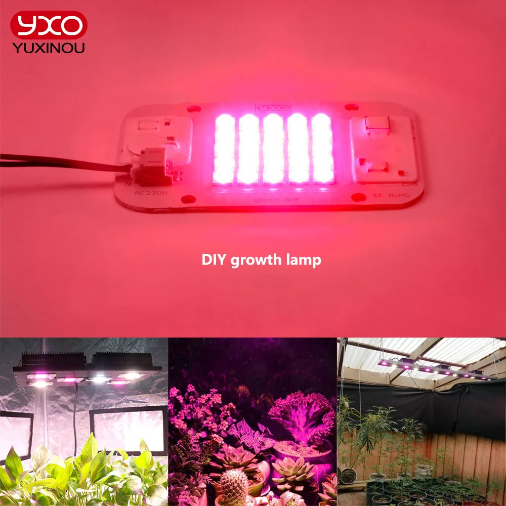 Samsung-luz LED COB de espectro completo, 50W, 660NM, 220V, Chip LED para cultivo de plantas, tienda de campaña