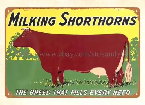 Milking Shorthorns Dairy Cattle Livestock metal tin sign wall piece sign