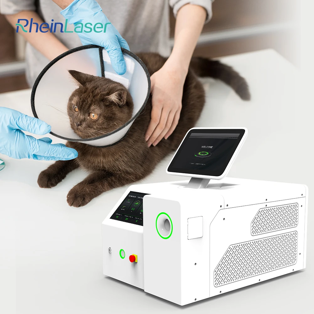 2026 Hot Selling 1940nm Veterinary Thulium Fiber Lithotripsy Equipment for Pets Precision Urology Surgery