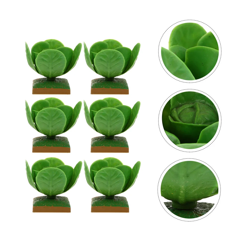 6 Pcs Cabbage Model Plaything Educational Toys Kids for Playset Simulation Veg Adornments Playthings Miniature