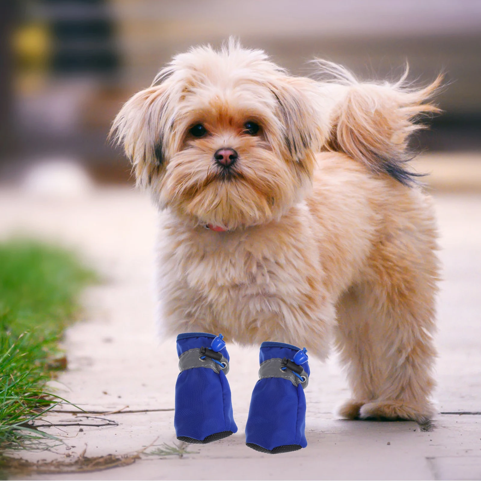 

Dog Waterproof Boots Booties and Paw Protectors Paws for Dogs Protection Puppy Shoes Small