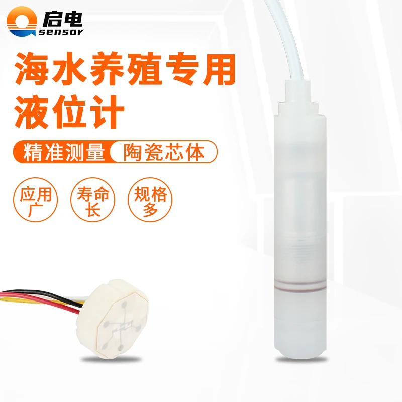 Immersion Level Gauge Corrosion-resistant Level Transmitter PTFE Anti-corrosion Level Transmitter 316 Diaphragm 4-20mA