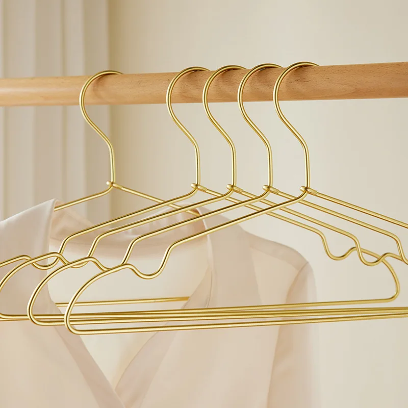 

10 pcs Aluminum Metal Hanger with Non-Slip Notches Light Golden Clothes Hanger Space Saving Closet Organizer Hanger Rack