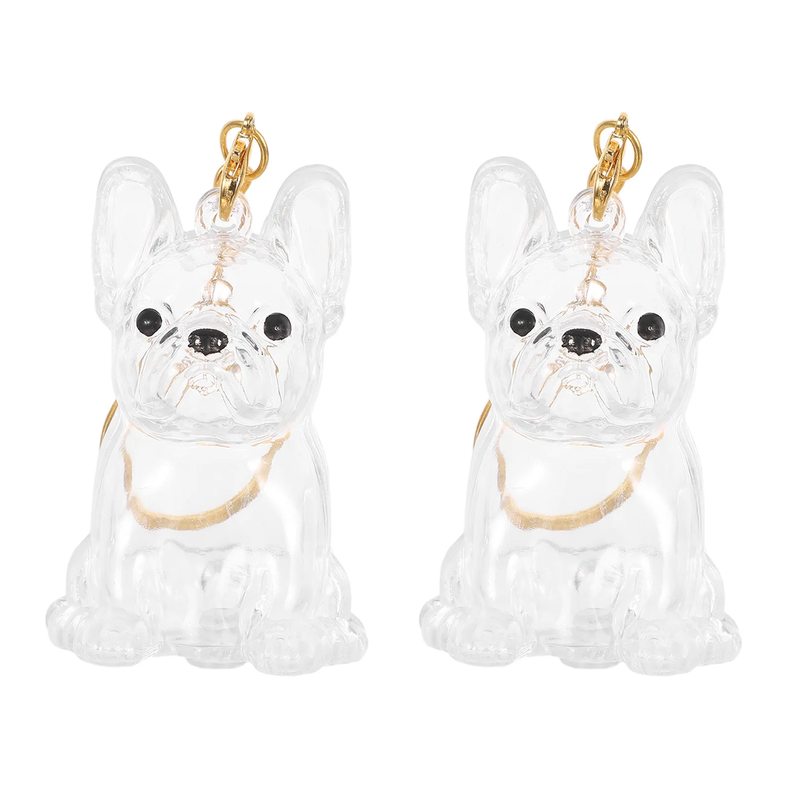 

2Pcs Dog Hair Storage Keychain Transparent Capsule Mini Urn Memory Locket Clear Pet Hair Holder Portable Memorial Keepsake