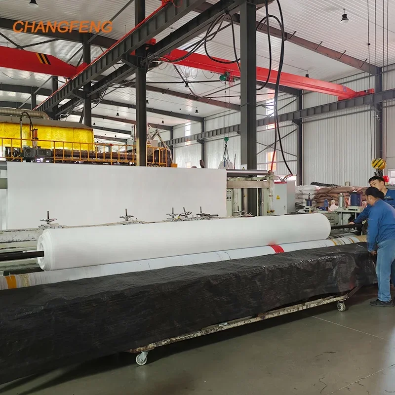 

【Best-selling】Factory Price Pet/PP Eco-Friendly Long Fiber Non Woven Fabric Geotextile N-eedle Punched Geo Textile for Sand