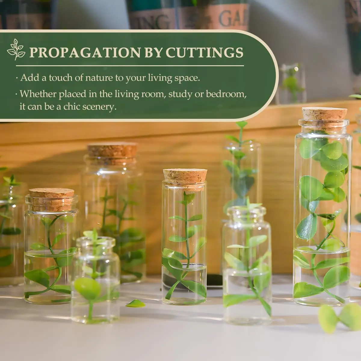 10Pcs 10ML Glass Bottles with Cork,Small Glass Vials,Mini Storage Bottle,Transparent Wishing Bottles,DIY Container Wedding Decor