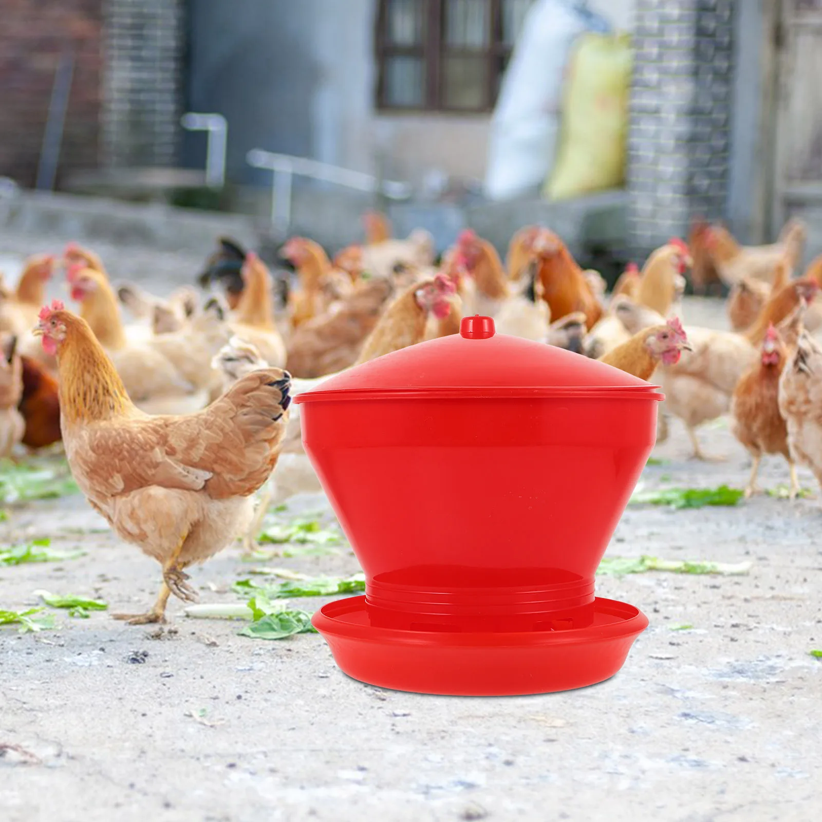 

Large Capacity Poultry Feeder Reusable Plastic Durable Chick Feeder Smooth Surface Easy Install Chickens Chic Food Container