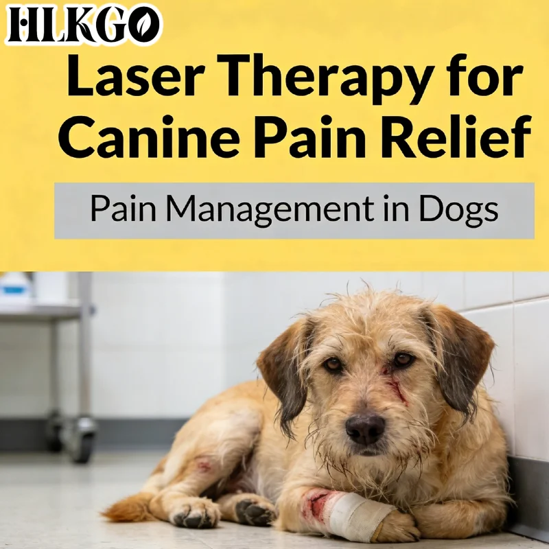 

Самый продаваемый ветеринарный холодный лазер с 25 диодами, устройство для лечения мышечной боли у лошадей, для ухода за суставами при артрите у лошадей, для домашнего использования