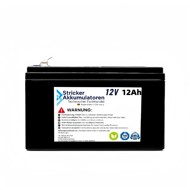 

Upgrade 12V 12Ah Lithium Battery for Kids Toy Car Ride On Car Longer Playtime More Power Includes 3A Fast Charger Easy Install