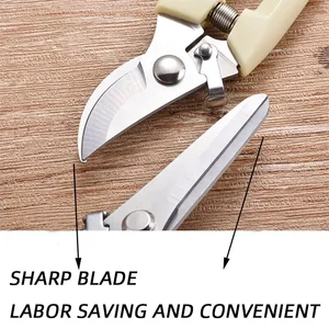 Çiçek kesmek, çiçek düzenlemek, ağaç kesmek, meyve ağaçları kesmek, bahçede dal kesmek, evde aşılama yapmak için paslanmaz çelik makas 6 Büyük satış budama makası-no. 4