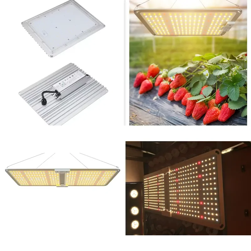 ETL Listed LED Grow Light Full Spectrum with UV IR Dimmable Plant Growing Lamp Panel for Vegetable Indoor Hydroponic