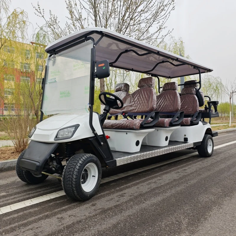 5KW High Power Golf Cart Lithium Off Road Custom Electric Buggy For Club Villa Transp 10-Inch Tires Brown Seat With Headrest