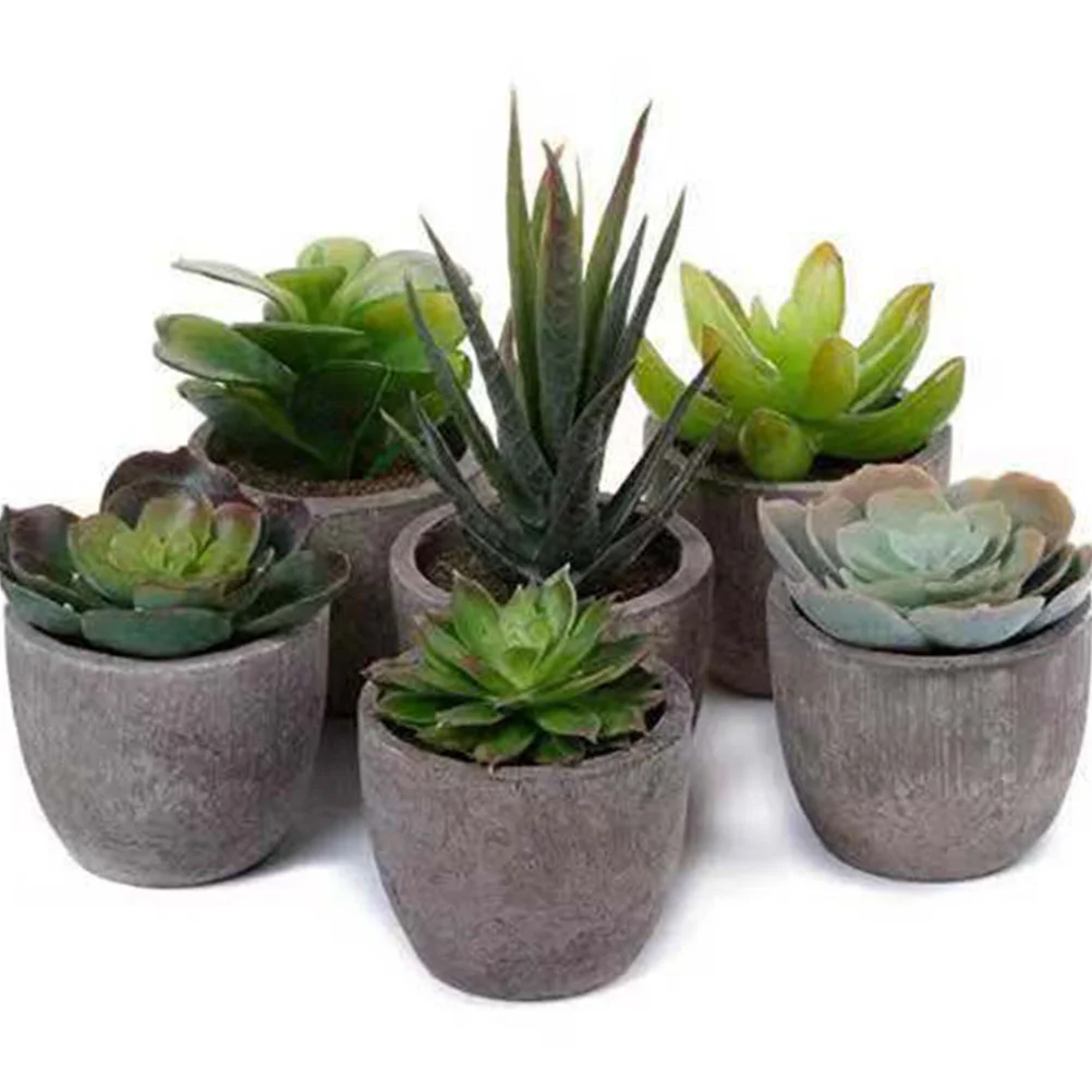 

3Pcs Adorable Imitated Plants Bonsai Simulation Succulent Home Office Decor Lightweight Portable Realistic