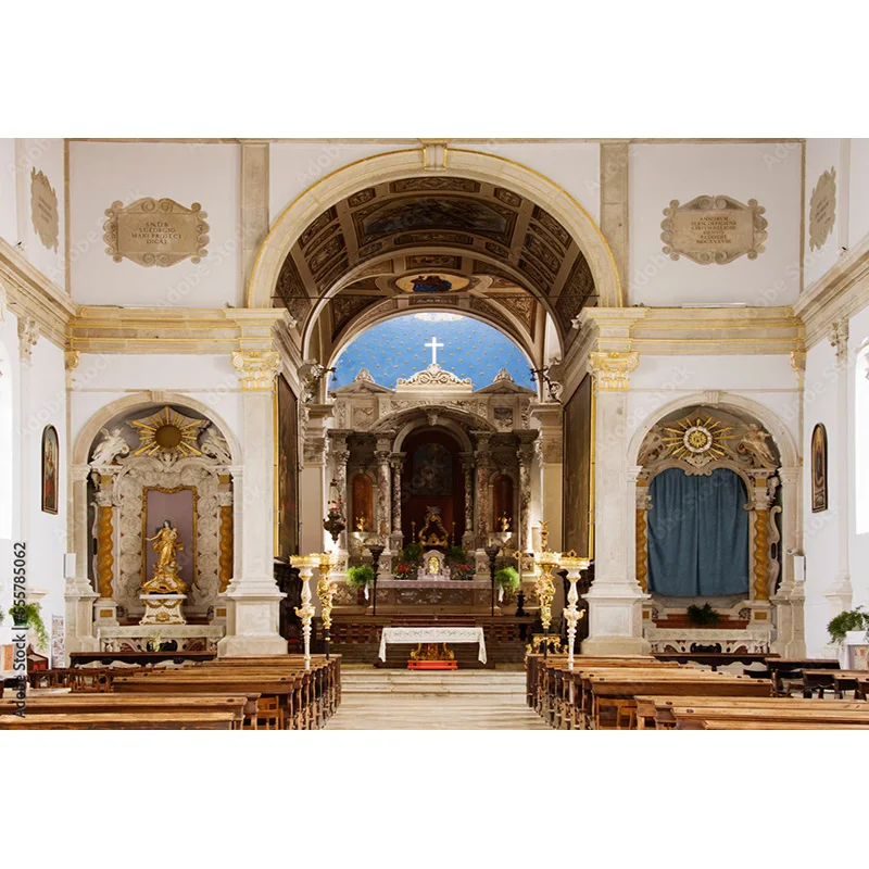Nitree Auditorium European Style Church Photography Backdrop  Architecture Zagreb Cathedral Photo Studio Background JT-23