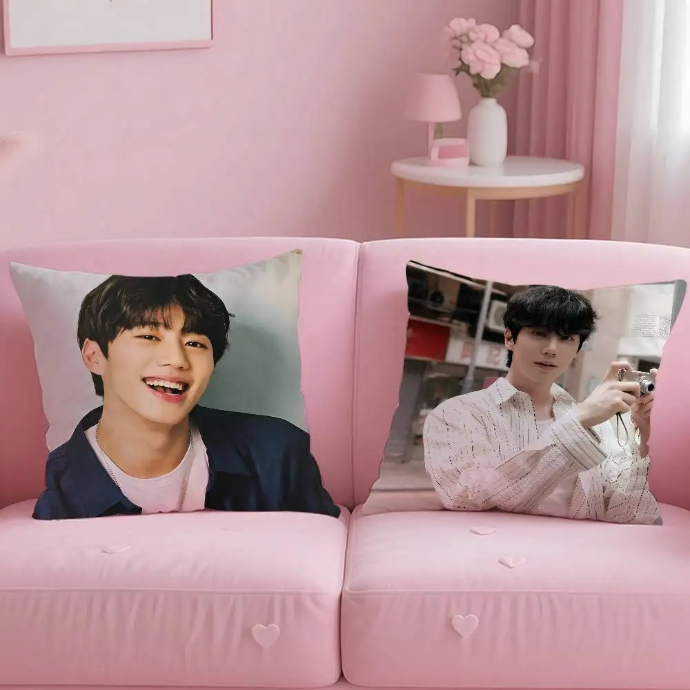 Kpop Hot Singer Lee J-Jun Young Pillow Case Anti-dustmite Pillowcase Invisible zipper silky short plush Sofa cushion cover