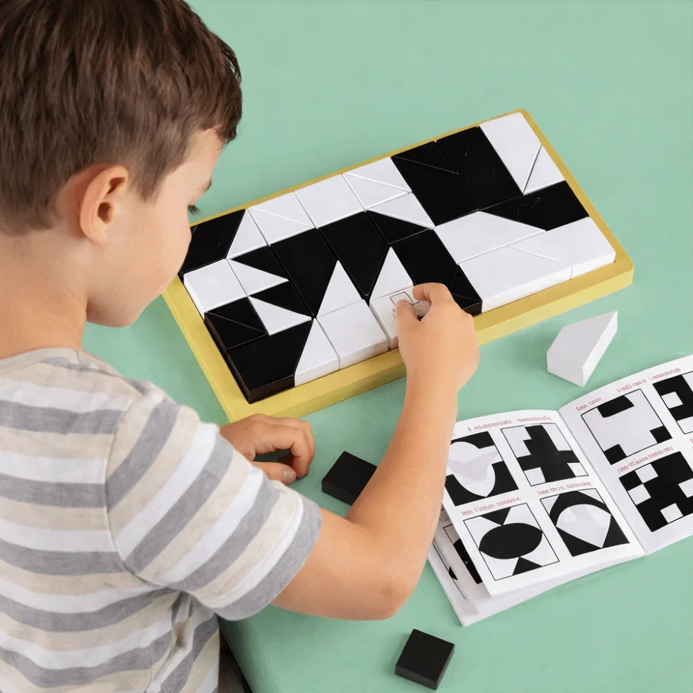 Black White Design Building Blocks Educational 120 Level Hidden Building Block Puzzle Logic Training Intelligent Puzzle