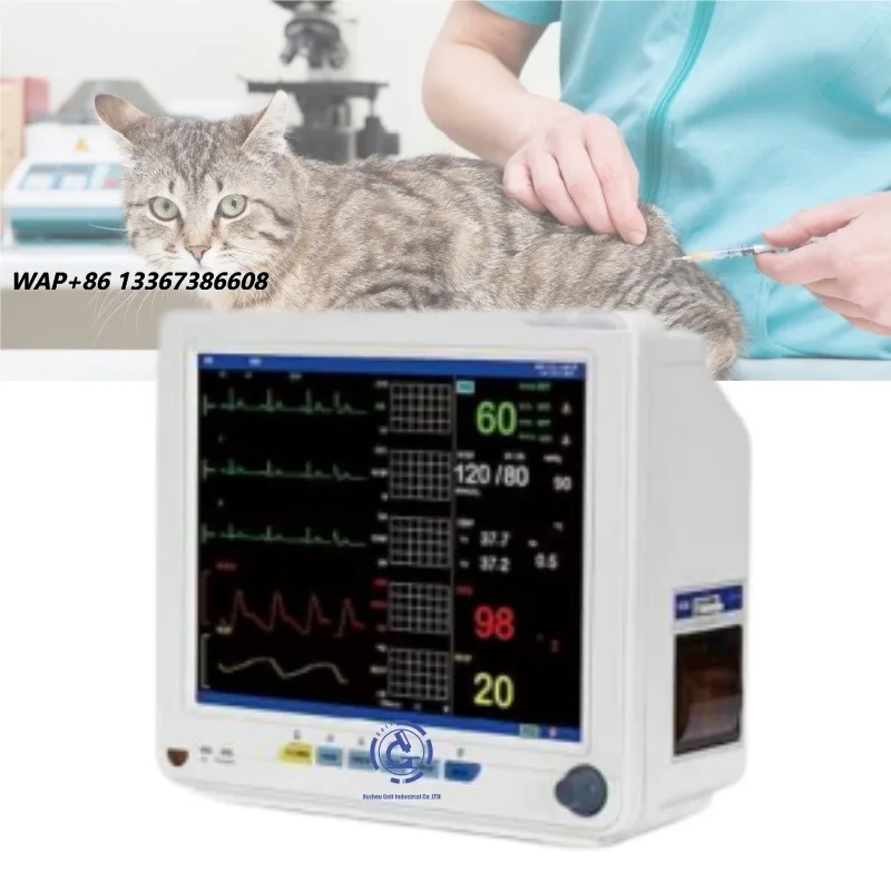 Hot Selling Portable Digital Veterinary Patient Monitor 5-Parameter Veterinary Medical Device for Dog and Cat Clinics Available
