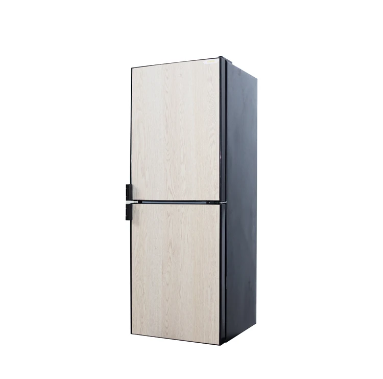 

Upright Twin Refrigerator for RV Caravan Low Power Solar Home Fridge Freezer for Car Use