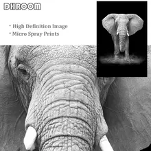 Canvas animal wall art with lion and zebra posters #5