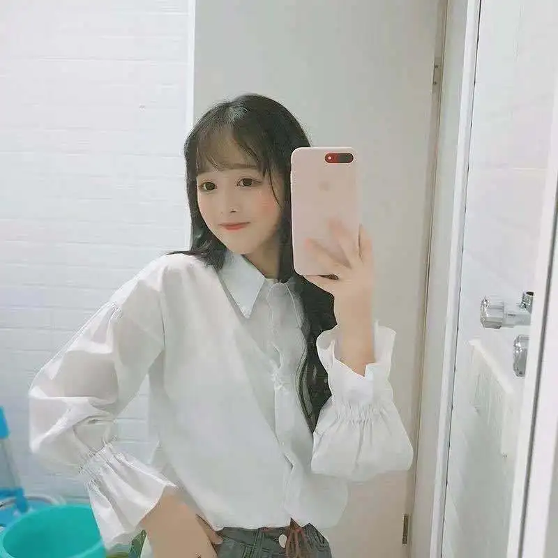 

Long Sleeve Shirts Womens Chiffon Button Down Tops Lantern Sleeves Pleated Hem Slim Fit Feminine Retro French Style Spring Looks