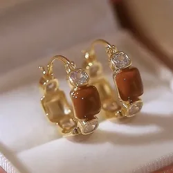 Exquisite Brown Zircon Unique Design Earrings for Women Fashionable Personalized Daily Accessories Party Jewelry Birthday Gifts