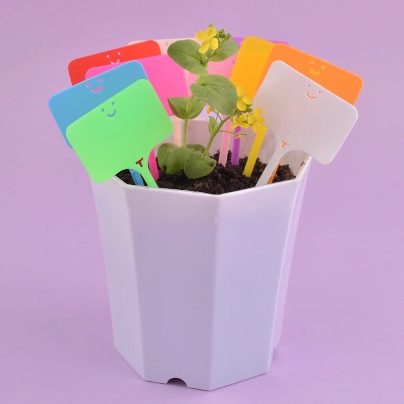 

30Pcs 49*96mm Colorful Plastic Plant Labels Waterproof Garden Flower Succulent Potted Bonsai Tags Reusable Nursery Marker Plate